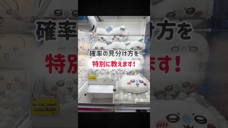 知らないと損する？！UFOキャッチャーの確率が来てるかを知る方法#ufoキャッチャー #クレーンゲーム #ゲームセンター #キャロム所沢 #確率機 #ちいかわ #ハチワレ #うさぎ #モモンガ