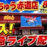 【クレーンゲーム】新潟県に激熱店舗がグランドオープン！iおたちゅう赤道店から緊急ライブ配信！