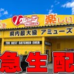【クレーンゲーム】グランドオープンのゲーセンに潜入調査 #iクレーン新発田 #ufoキャッチャー