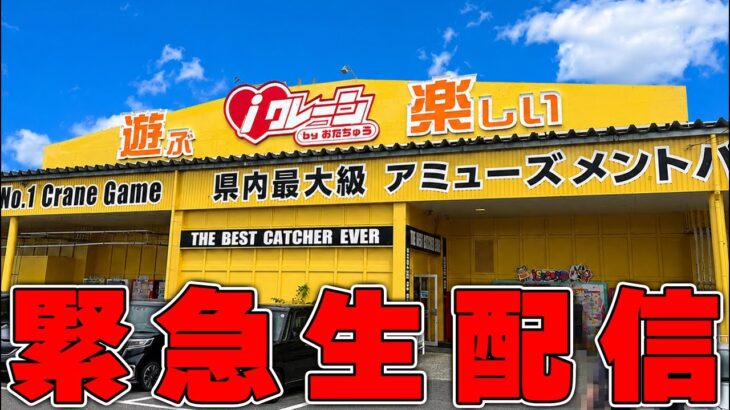 【クレーンゲーム】グランドオープンのゲーセンに潜入調査 #iクレーン新発田 #ufoキャッチャー