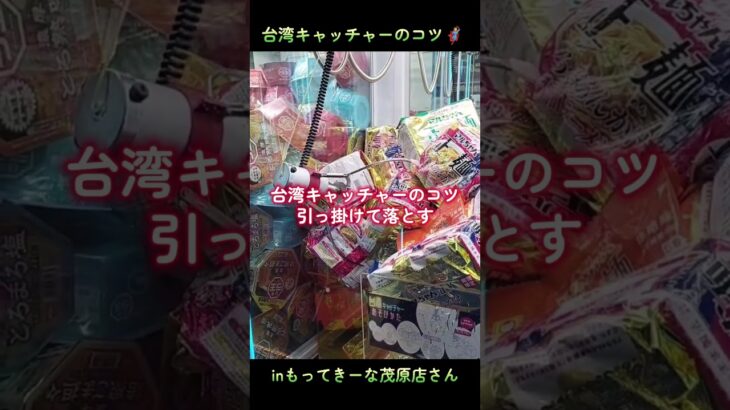 台湾キャッチャー大量ゲット🦸inもってきーな＋茂原店さん📍#もってきーな茂原