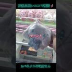 放置品は見逃すな🦸エコ獲得👍️inベネクス平塚店さん📍#ベネクス平塚