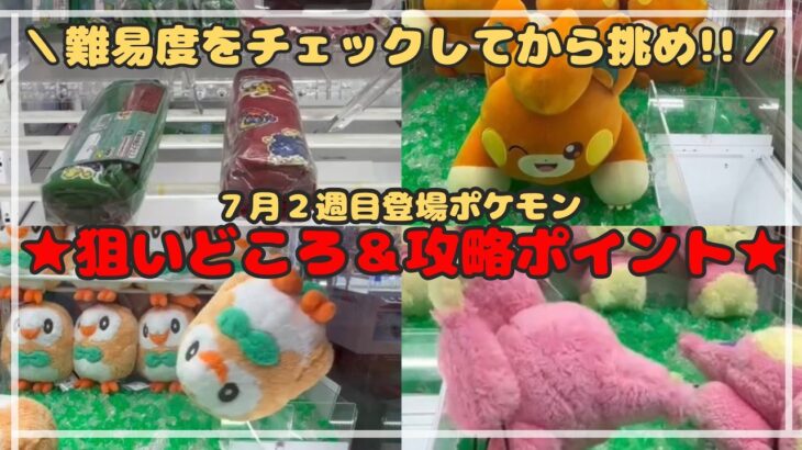 【チャンピオンきた】いつもとは違う！知らないと沼る…最新ポケモンプライズの攻略法！～マイクロファイバータオル・パモ・モクロー・エネコ　#ポケモン #pokemon #ぬいぐるみ #クレーンゲーム
