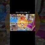 【バグ？】パワー強すぎて逆に怖い…ガーディとの一戦！　#ポケットモンスター #ポケモン #pokemon #ぬいぐるみ #クレーンゲーム