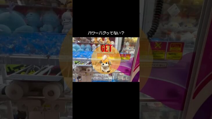 【バグ？】パワー強すぎて逆に怖い…ガーディとの一戦！　#ポケットモンスター #ポケモン #pokemon #ぬいぐるみ #クレーンゲーム