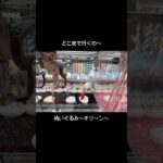 【あれええええ】入った！外れない！戻ってきた！新メンバーチリーン！　#ポケットモンスター #ポケモン #pokemon #ぬいぐるみ #クレーンゲーム