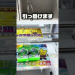【クレーンゲーム】トイレスタンプを狙え！フック設定攻略法#shorts