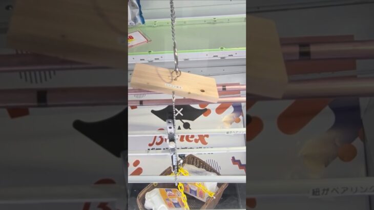 ベネクス浦和店で昨日産まれた卵の景品をゲット #shorts