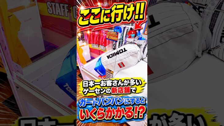 また凄いゲーセンを見つけてしまいました #shorts #クレーンゲーム #ufoキャッチャー # ゲーセン #ゲームセンター #arcade