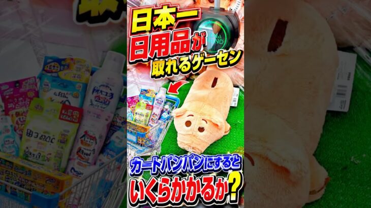 日本一設定が上手い天才店長がいるゲーセンでカートパンパンにするのに一体いくらかかるのか、、、 #shorts #クレーンゲーム #ufoキャッチャー # ゲーセン #ゲームセンター #arcade