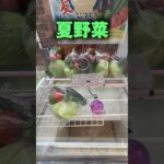 ゲーセンが八百屋さんを始めたらしい…⁉︎ #shorts #クレーンゲーム #ufoキャッチャー #cranegame
