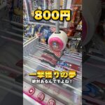 クレーンゲームは真ん中掴まないで！←これ正解？ #shorts # #クレーンゲーム #ufoキャッチャー #cranegame