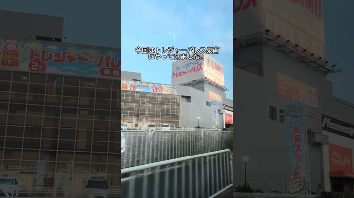 【クレーンゲーム】トレジャーパレスで果物取ってみた #クレーンゲーム #ゲームセンター #ゲーセン #ufoキャッチャー #クレゲ #フック設定