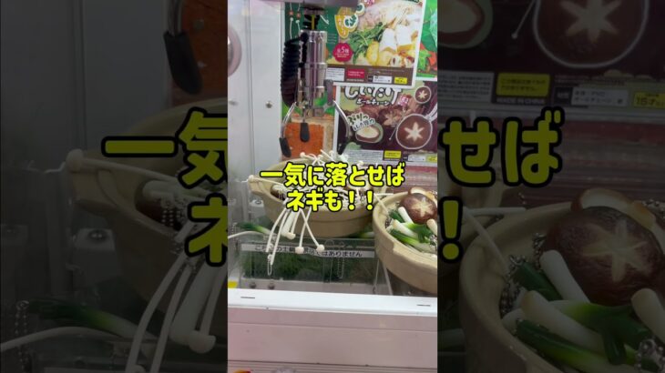 食べ物シリーズ発見💡🍙可愛い🍞 #ゲームセンター #クレーンゲーム #ゲーセン #ufoキャッチャー #食べ物