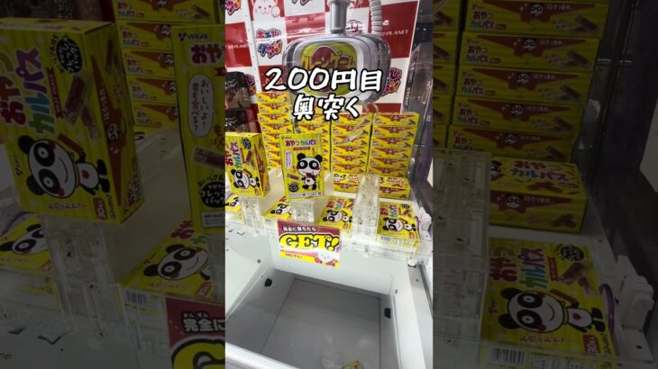 【配信切抜】ゲーセン店員、本気攻略‼️#ゲームセンター #クレーンゲーム #ufoキャッチャー #沼津