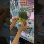 珍しい景品を取ろうとしたら… #クレーンゲーム #ufoキャッチャー #ぬいぐるみ #ゲームセンター