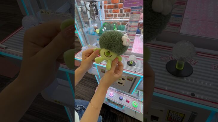 珍しい景品を取ろうとしたら… #クレーンゲーム #ufoキャッチャー #ぬいぐるみ #ゲームセンター