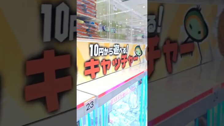 【#ゲーセン  】めちゃとれクレーン行ってきた！ 【#クレーンゲーム  】#軽トラ  #ゲームセンター #ufoキャッチャー #倉庫系  #10円キャッチャー #おやつ #駄菓子 #大阪