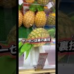 【裏技】ゲーセン店員の配信切抜🍍#ゲームセンター #ゲーセン #クレーンゲーム #ufoキャッチャー