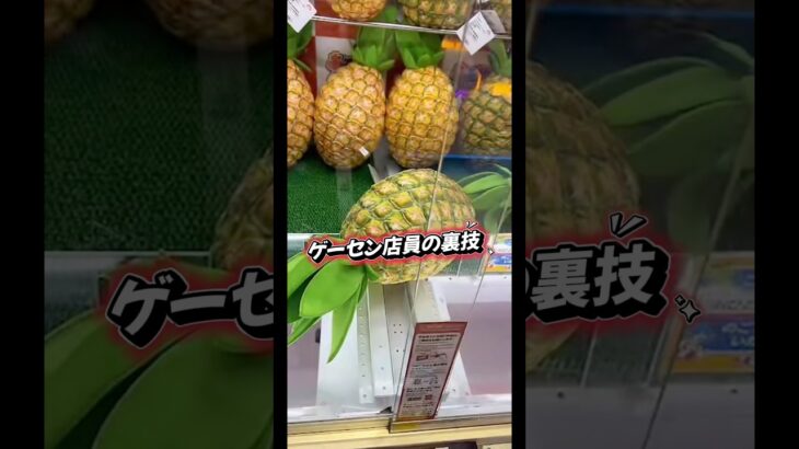 【裏技】ゲーセン店員の配信切抜🍍#ゲームセンター #ゲーセン #クレーンゲーム #ufoキャッチャー