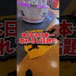 【日本一取れる⁉】カートパンパンにお菓子を大量獲得してみたｗｗ #ゲームセンター #クレーンゲーム #ufoキャッチャー