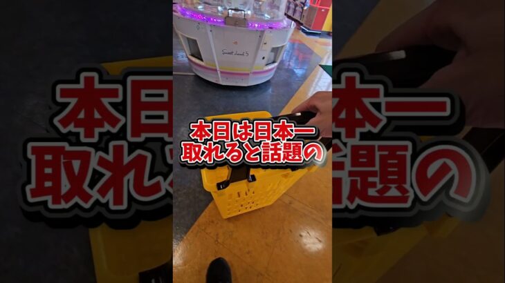 【日本一取れる⁉】カートパンパンにお菓子を大量獲得してみたｗｗ #ゲームセンター #クレーンゲーム #ufoキャッチャー