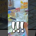 ラバー台にぺしょってたのに攻略!? #クレーンゲーム #ゲームセンター #ufoキャッチャー