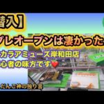 【クレーンゲーム】オタカラアミューズ岸和田店プレオープン潜入報告【ufoキャッチャー】