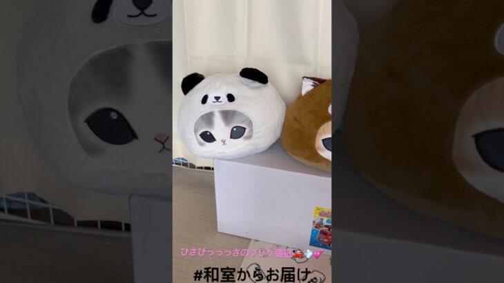 【📍お宝市番館三重本店】#ufoキャッチャー #クレーンゲーム景品 #クレーンゲーム動画 #クレーンゲーム#GET品#クレーンゲーム攻略#夾娃娃店#和室からお届け#おたみえ#おたいち#お宝市番館