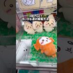 【ちいかわ】実は…！！挑戦してみてね！ #クレーンゲーム #ゲームセンター #ufoキャッチャー #clawmachine #ゲーセン #ちいかわ #ぬいぐるみ #chiikawa #攻略 #ハチワレ