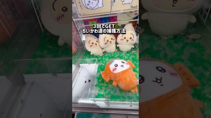 【ちいかわ】実は…！！挑戦してみてね！ #クレーンゲーム #ゲームセンター #ufoキャッチャー #clawmachine #ゲーセン #ちいかわ #ぬいぐるみ #chiikawa #攻略 #ハチワレ