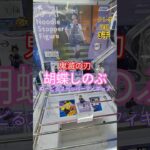 【 #クレーンゲーム 】胡蝶しのぶ 鬼滅の刃 ぬーどるストッパー #プライズ #ゲームセンター #ufoキャッチャー #フィギュア #shorts #アニメ 橋渡しに挑戦 倉庫系 攻略(CGS前橋)