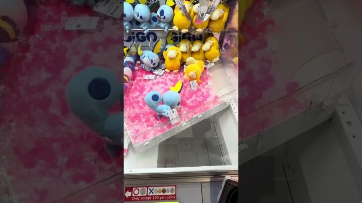 クレーンゲーム/メッソン(ポケモン)#クレーンゲーム#ufoキャッチャー#コツ#確率無視#shorts