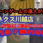 【店舗攻略ガイド】クレーンゲームの達人が、リニューアル後のベネクス川越店でイベント期間外の日で、フィギュア・冷凍庫リングフック設定・橋渡し設定は、獲れるのか❓獲れないのか❓色んな筐体で検証してみた❗