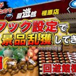 【前編】個数制限なしなので、好きな景品乱獲します【ゲームセンター】