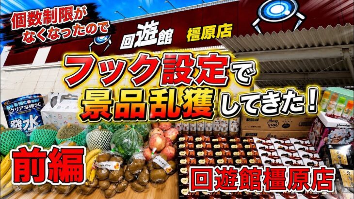 【前編】個数制限なしなので、好きな景品乱獲します【ゲームセンター】