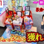 【そんなに獲れるの！？】神奈川県のラウンドワンのとれすぎ〜のにある景品の取るコツを紹介