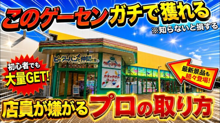 【クレーンゲーム】知らないとガチで損するプロの取り方！今までの取り方ではダメ！東京で今一番獲れるゲーセンがやばすぎた