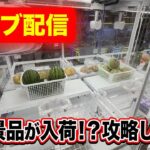 【クレーンゲーム配信】遂に生鮮景品が入荷したので攻略します！【ハピピランドこどもの国店】