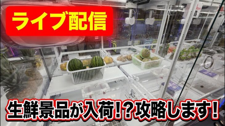 【クレーンゲーム配信】遂に生鮮景品が入荷したので攻略します！【ハピピランドこどもの国店】