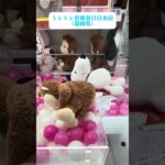 🐵【神回】お猿のジョージ攻略‼️真似するだけで獲得率アップ✨