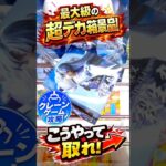 【クレーンゲーム】最大級の超デカ箱はこうやって取れ🔥