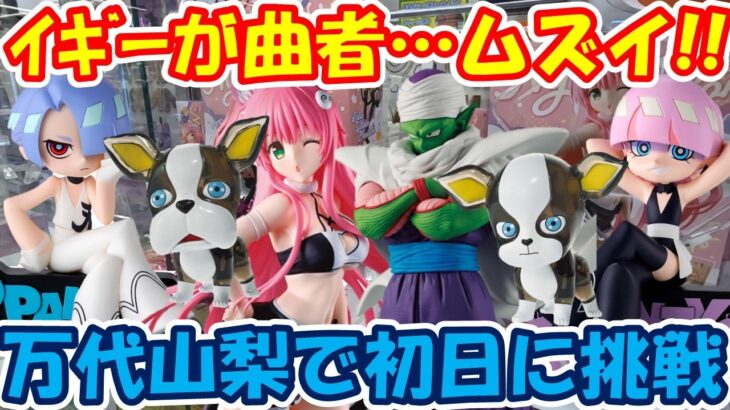 【クレーンゲーム】【倉庫系】#万代山梨 曲者 #イギー に沼る… #ジョジョ #ピッコロ #ララサタリンデビルーク #とらぶる #パンスト  #ポリエステル  #ポリウレタン #ドラゴンボール