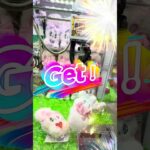 🐰ミスターバニー攻略🎯ミニクレーン苦手な人必見✨