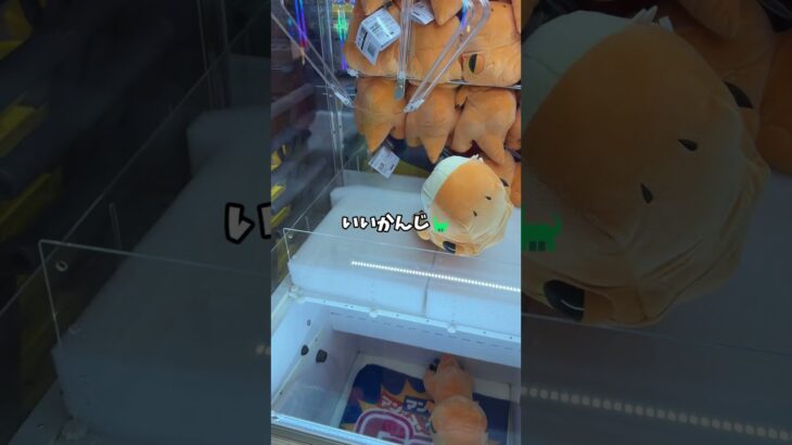 ヤバすぎる🦖恐竜ぬいぐるみ🦖#クレーンゲーム