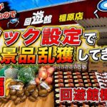 【後編】個数制限なしなので、好きな景品乱獲します【ゲームセンター】