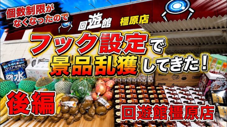 【後編】個数制限なしなので、好きな景品乱獲します【ゲームセンター】