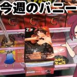 【クレーンゲーム】レヴィバニー！わくわくさんでフィギュア獲ります 【わくわくアミーゴ尾崎店】