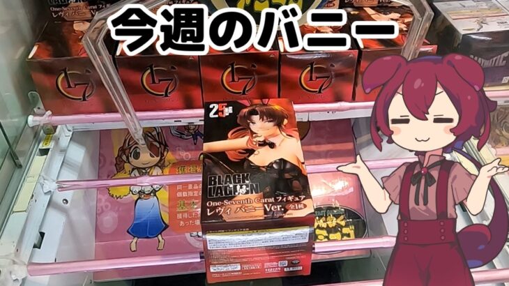 【クレーンゲーム】レヴィバニー！わくわくさんでフィギュア獲ります 【わくわくアミーゴ尾崎店】