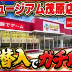 【クレーンゲーム】千葉県で話題のゲームセンター！アミュージアム茂原店からライブ配信！